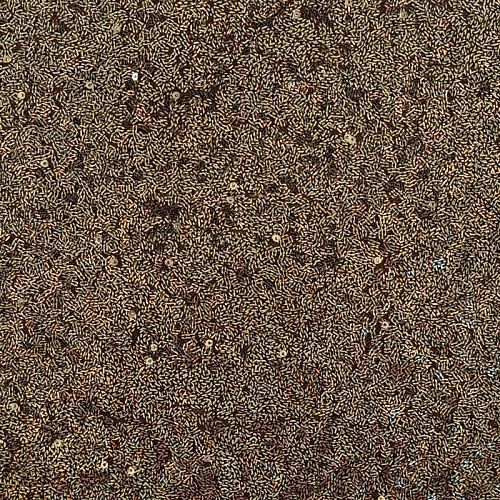 Ткань с пайетками 055-04098 темная бронза однотонный